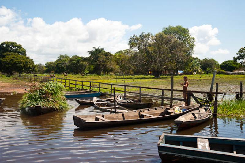 Canoas en el Lago de Maica, Santarem, Para, Brasil...