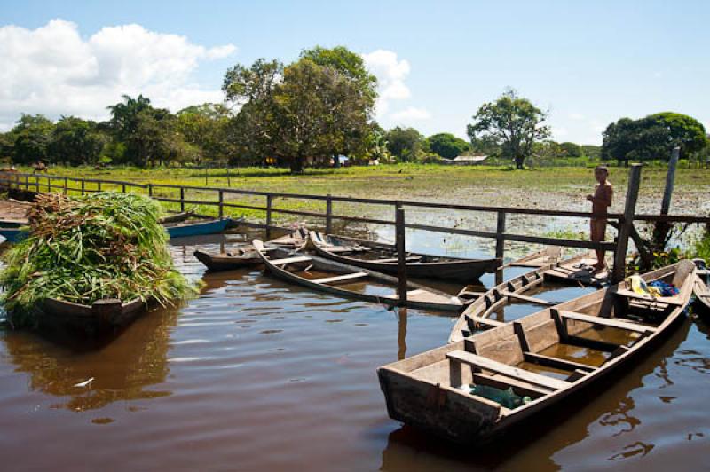 Canoas en el Lago de Maica, Santarem, Para, Brasil...