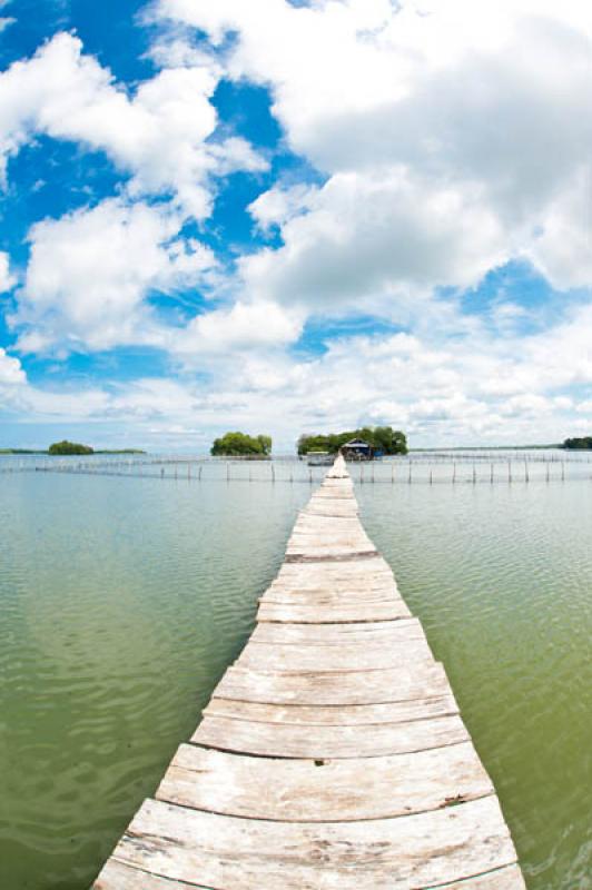 Manglar de Bahia de Cispata, San Antero, Cordoba, ...