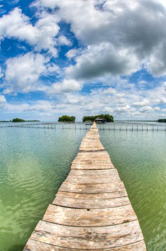 Manglar de Bahia de Cispata, San Antero, Cordoba, ...