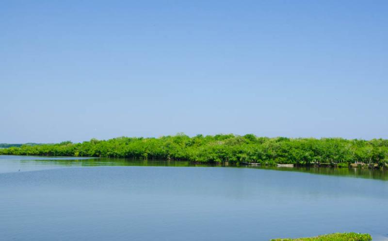 Bahia de Cispata, San Antero, Cordoba, Colombia