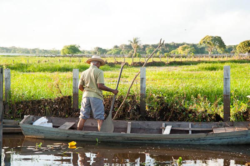 Hombre en una Canoa, Lago de Maica, Santarem, Para...