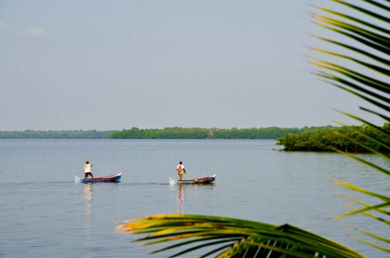 Pescadores en la Bahia de Cispata, San Antero, Cor...