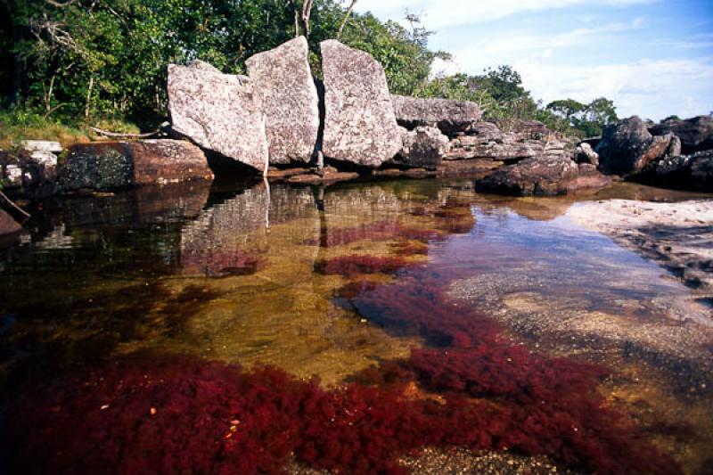 CaÃ±o Cristales, Macarena, Meta, Villavicencio, ...