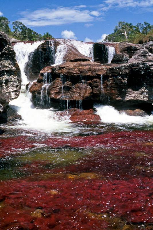 CaÃ±o Cristales, Macarena, Meta, Villavicencio, ...