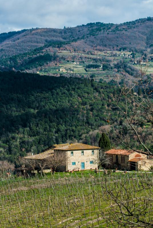 Viña Toscana, Florencia, Italia, Europa Occidenta...