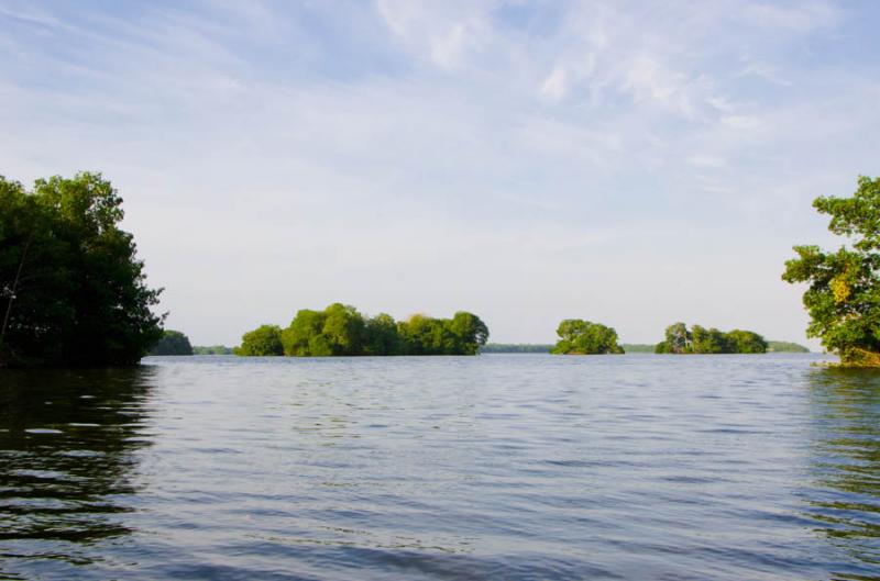 Manglar de Bahia de Cispata, San Antero, Cordoba, ...