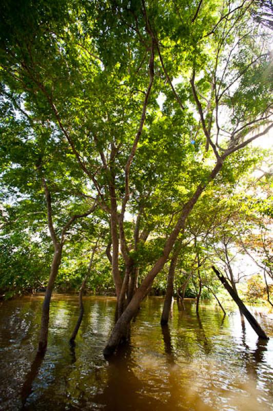 Lago de Maica, Santarem, Para, Brasil, Brasilia, S...