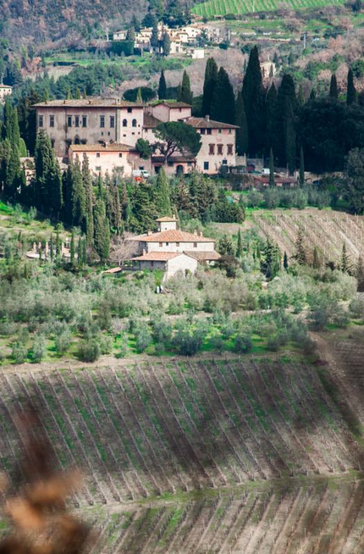 Viña Toscana, Florencia, Italia, Europa Occidenta...