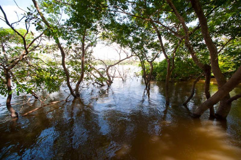 Lago de Maica, Santarem, Para, Brasil, Brasilia, S...