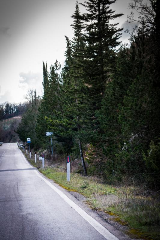 Calle de Toscana, Florencia, Italia, Europa Occide...