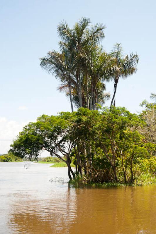 Lago de Maica, Santarem, Para, Brasil, Brasilia, S...