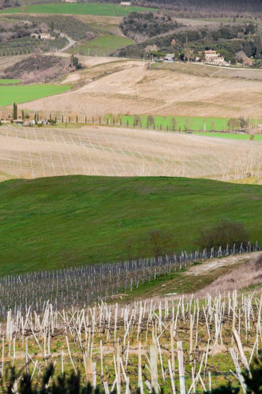 Viña Toscana, Florencia, Italia, Europa Occidenta...