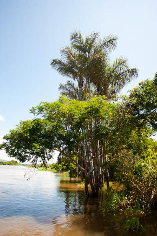 Lago de Maica, Santarem, Para, Brasil, Brasilia, S...