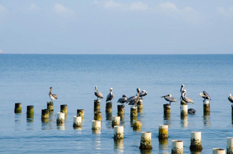 Bahia de Cispata, San Antero, Cordoba, Colombia