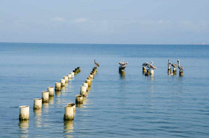 Bahia de Cispata, San Antero, Cordoba, Colombia