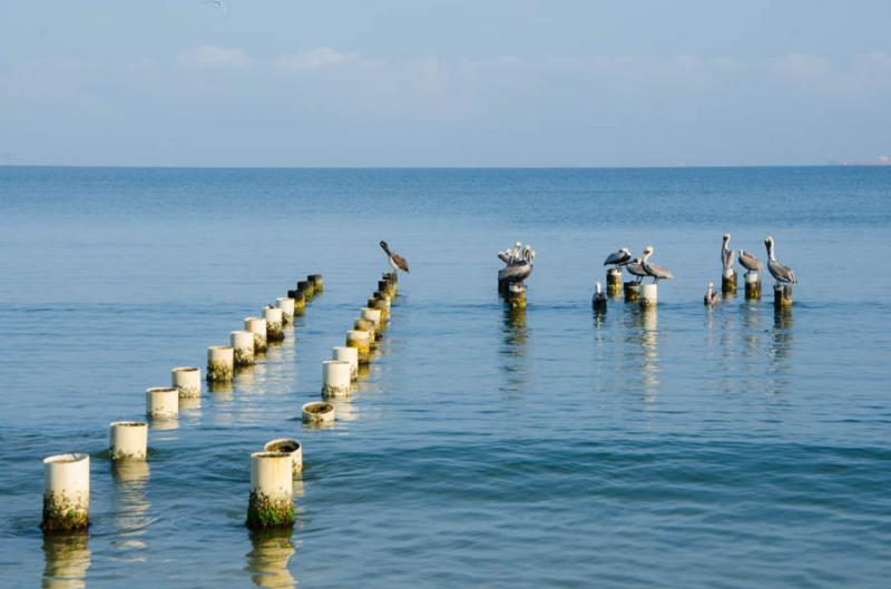 Bahia de Cispata, San Antero, Cordoba, Colombia