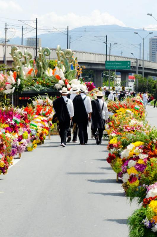 Desfile de Silleteros, Feria de las Flores, Medell...