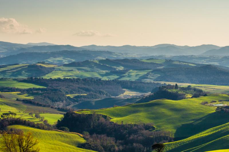 Paisaje de Toscana, Florencia, Italia, Europa Occi...