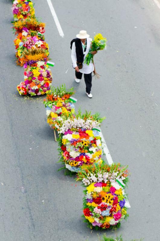 Desfile de Silleteros, Feria de las Flores, Medell...