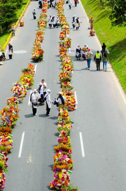 Desfile de Silleteros, Feria de las Flores, Medell...