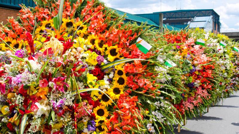 Desfile de Silleteros, Feria de las Flores, Medell...