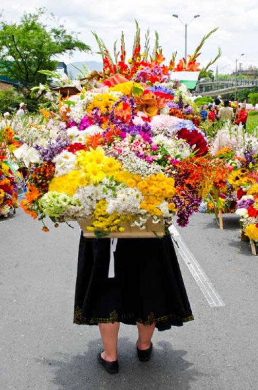 Desfile de Silleteros, Feria de las Flores, Medell...