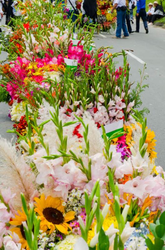 Desfile de Silleteros, Feria de las Flores, Medell...