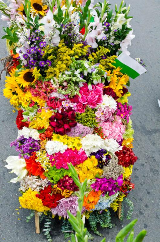 Desfile de Silleteros, Feria de las Flores, Medell...