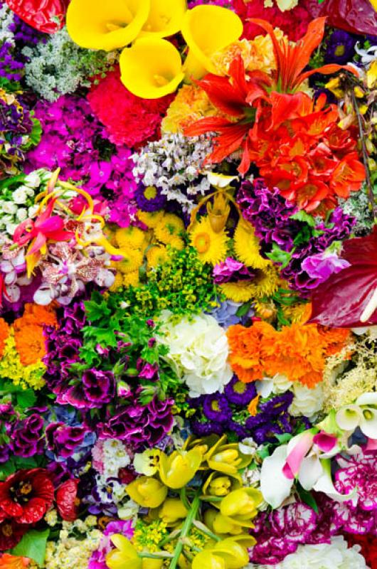 Desfile de Silleteros, Feria de las Flores, Medell...