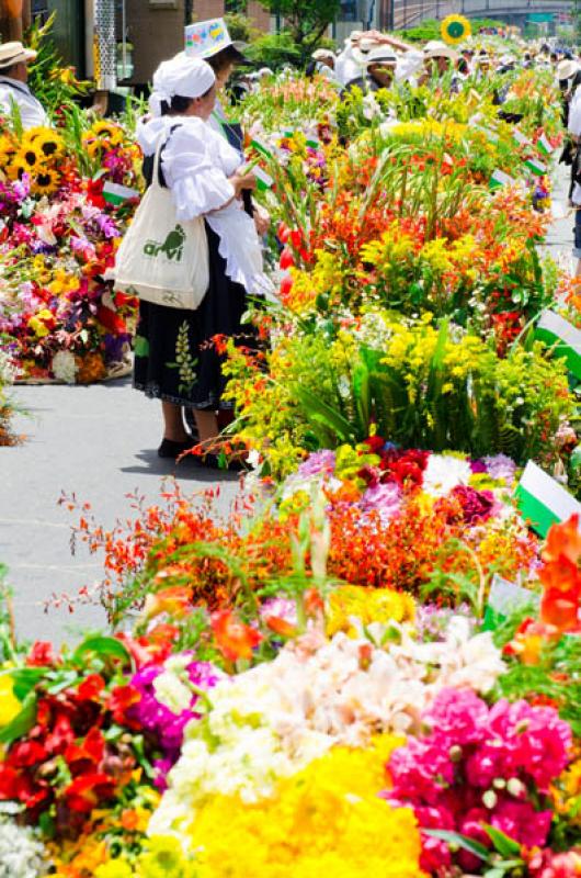 Desfile de Silleteros, Feria de las Flores, Medell...