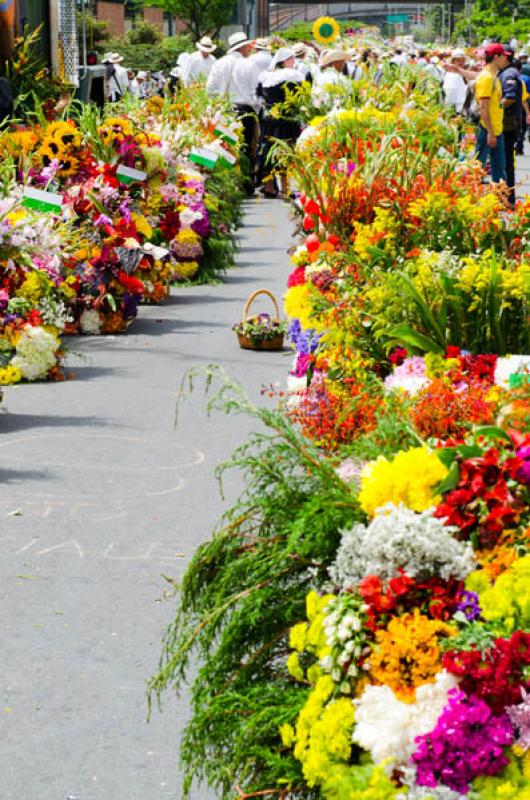 Desfile de Silleteros, Feria de las Flores, Medell...