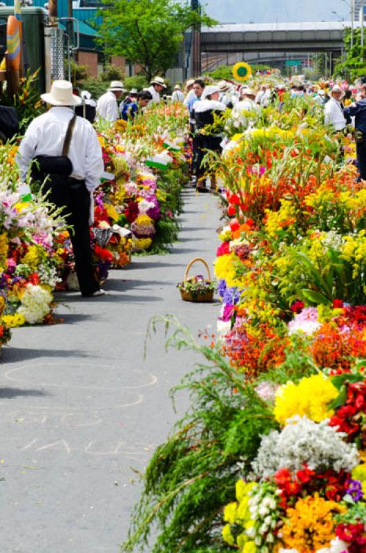 Desfile de Silleteros, Feria de las Flores, Medell...