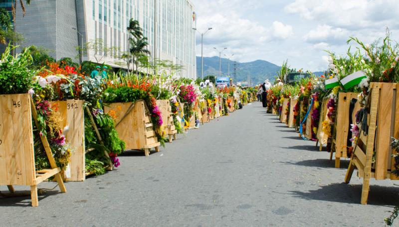 Desfile de Silleteros, Feria de las Flores, Medell...