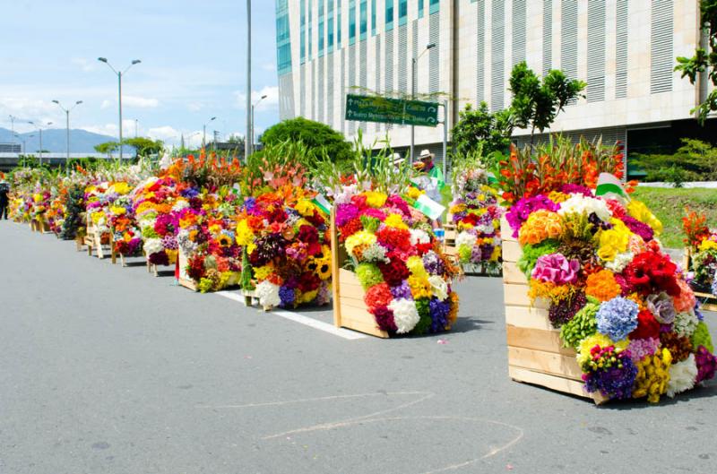 Desfile de Silleteros, Feria de las Flores, Medell...