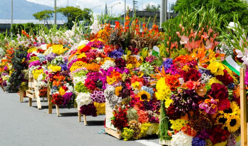 Desfile de Silleteros, Feria de las Flores, Medell...