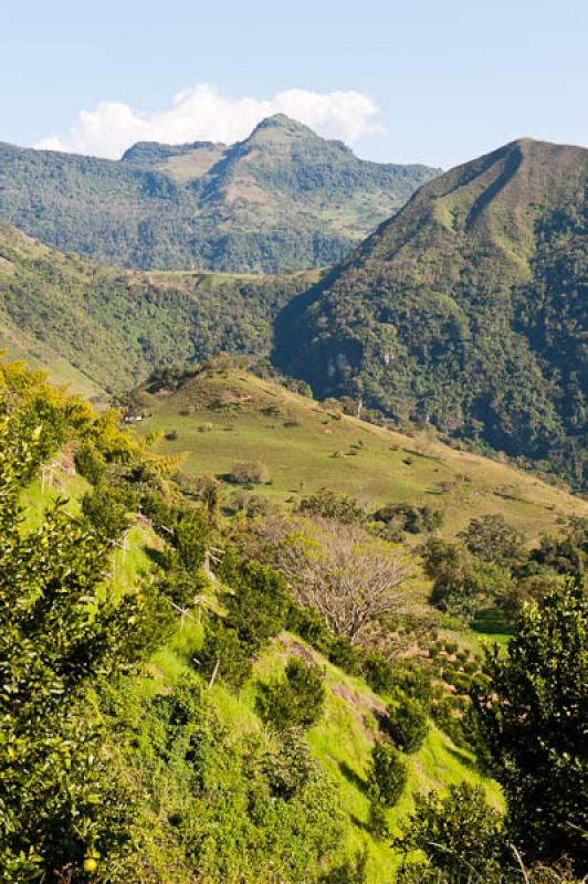 Fredonia, Suroeste AntioqueÃ±o, Antioquia, Colom...