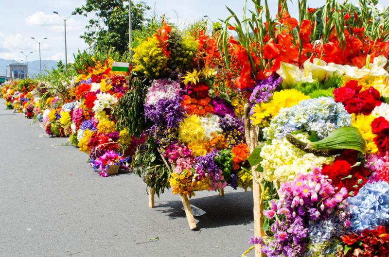 Desfile de Silleteros, Feria de las Flores, Medell...