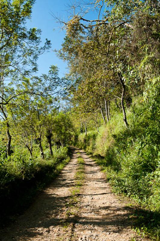 Fredonia, Suroeste AntioqueÃ±o, Antioquia, Colom...