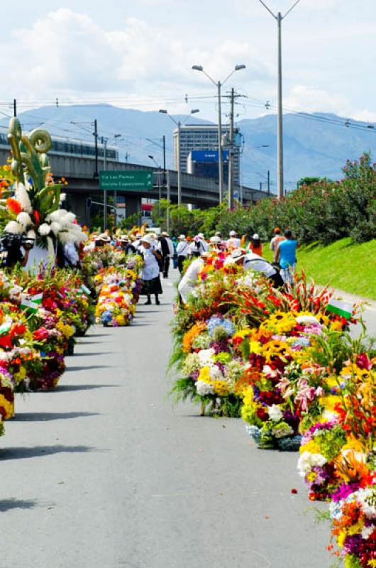 Desfile de Silleteros, Feria de las Flores, Medell...