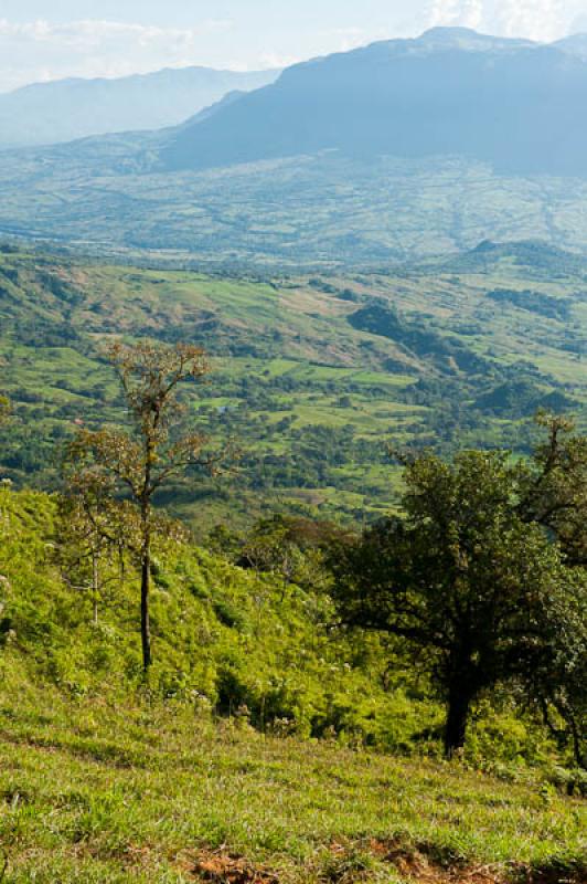 Fredonia, Suroeste AntioqueÃ±o, Antioquia, Colom...