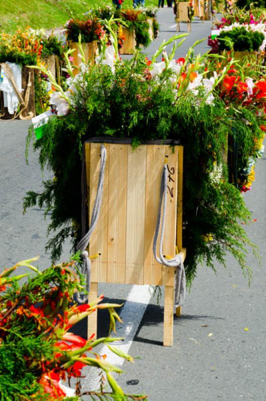 Desfile de Silleteros, Feria de las Flores, Medell...