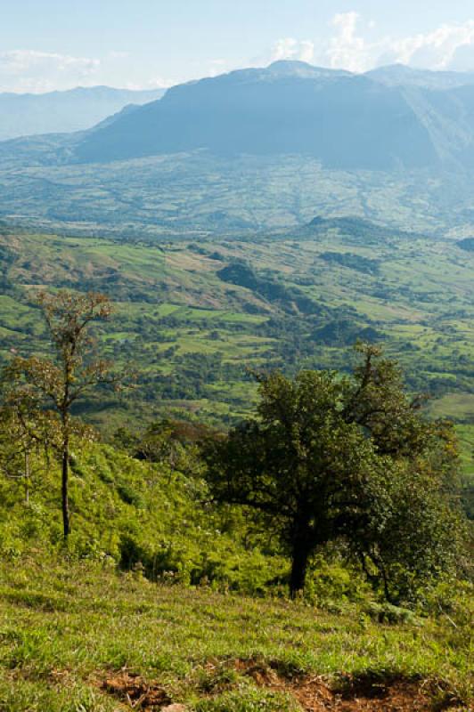 Fredonia, Suroeste AntioqueÃ±o, Antioquia, Colom...