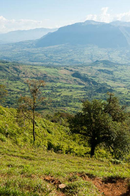 Fredonia, Suroeste AntioqueÃ±o, Antioquia, Colom...