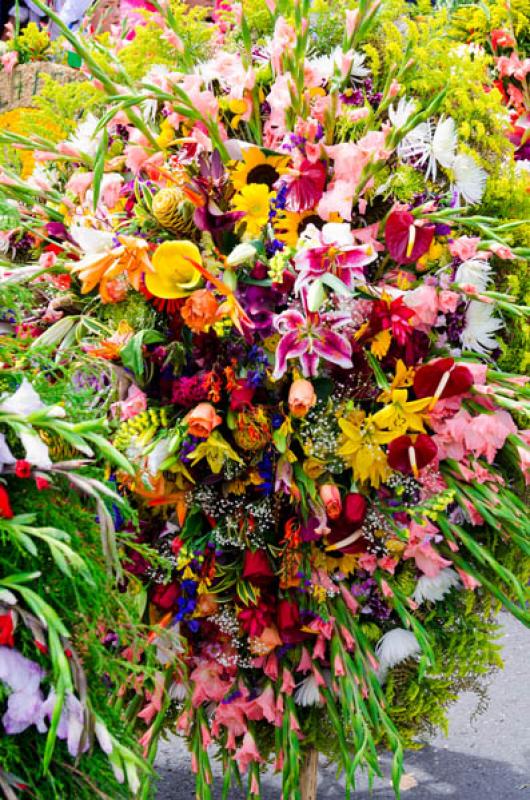 Desfile de Silleteros, Feria de las Flores, Medell...