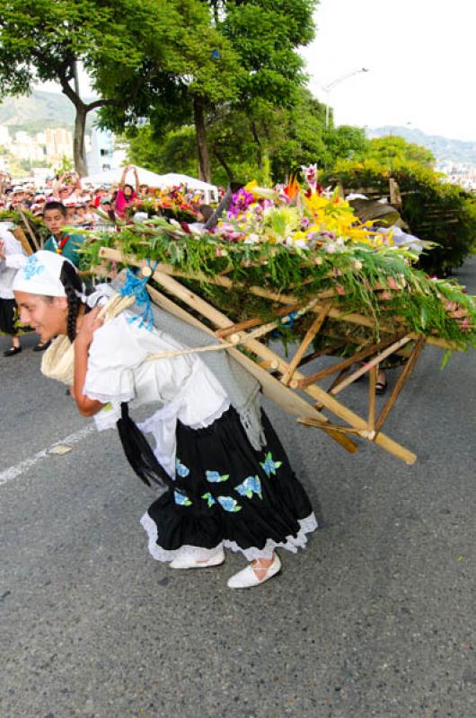 Desfile de Silleteros, Feria de las Flores, Medell...