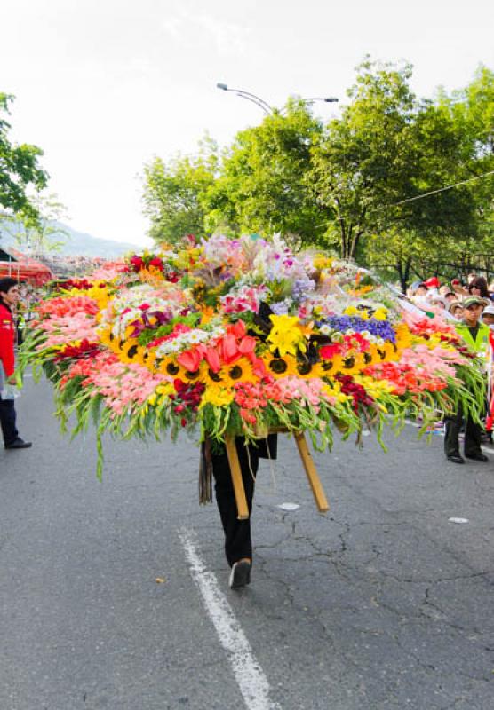 Desfile de Silleteros, Feria de las Flores, Medell...