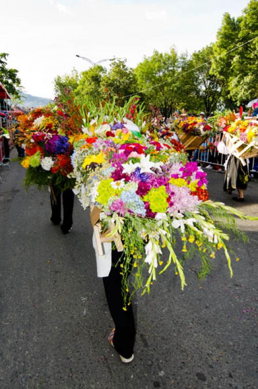 Desfile de Silleteros, Feria de las Flores, Medell...