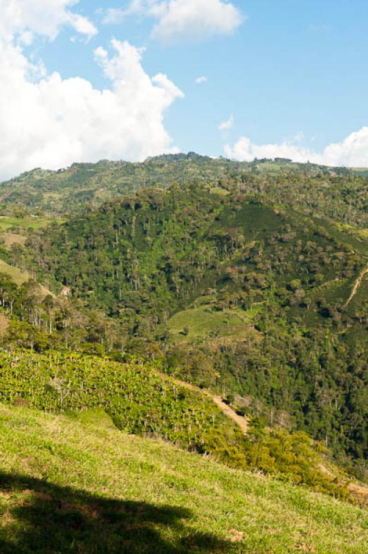 Fredonia, Suroeste AntioqueÃ±o, Antioquia, Colom...