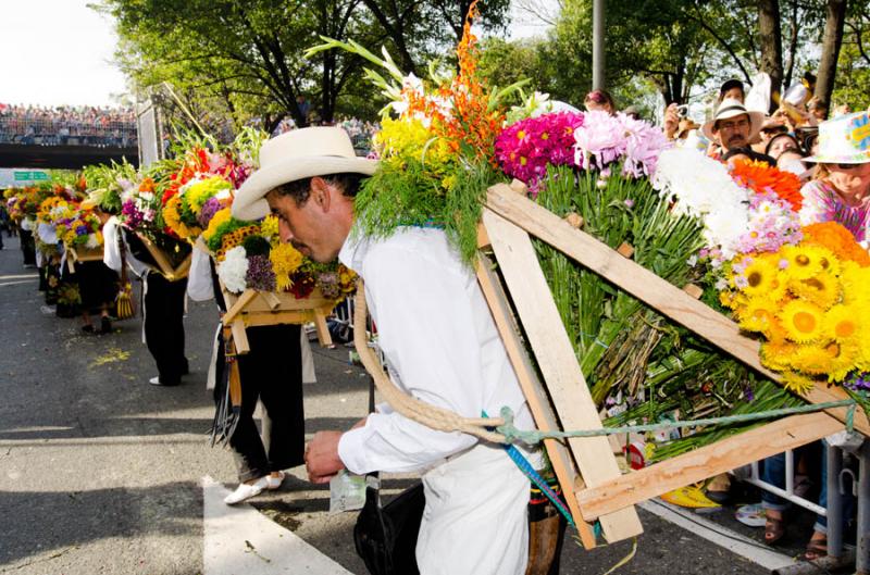 Desfile de Silleteros, Feria de las Flores, Medell...